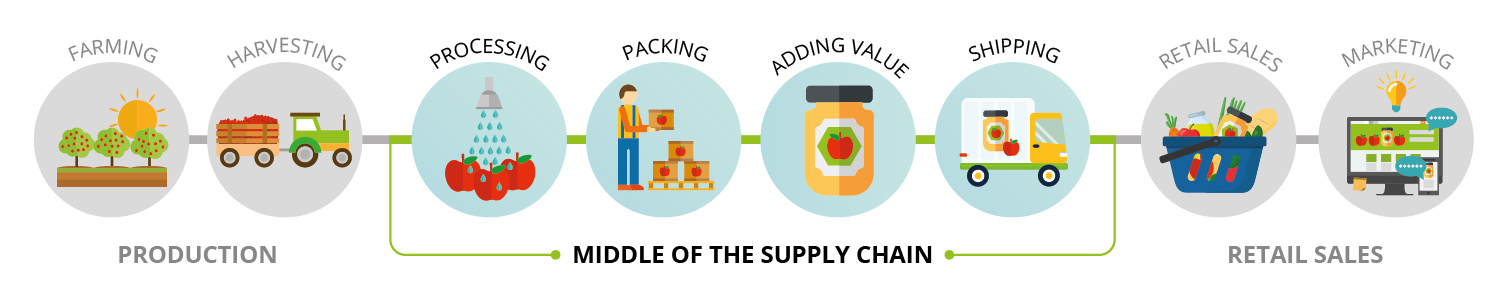 Graphic describing the middle of the supply chain, which includes processing, adding value, and shipping.