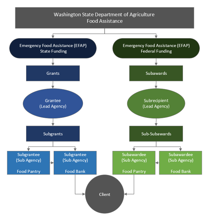 2023-2025 Biennial Awards Flowchart for EFAP