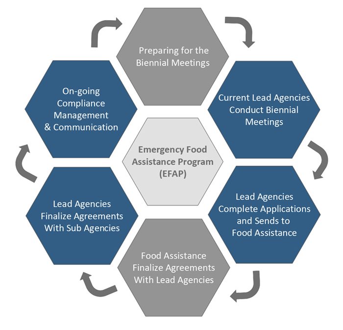 EFAP Biennial Process Cycle